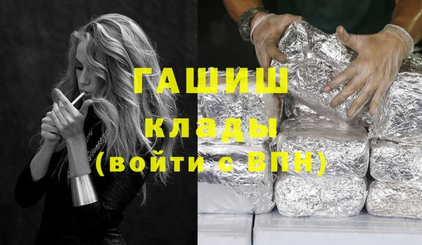 spice Богородицк
