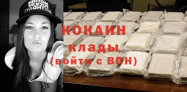 spice Богородицк