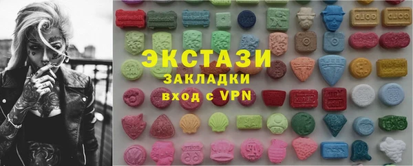 spice Богородицк